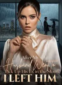After My Husband Went to Pick Up His Ex in the Storm, I Left Him