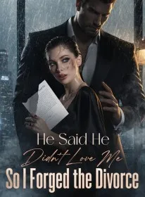 He Said He Didn't Love Me,So I Forged the Divorce